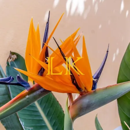 Lk Algarve Mor Apartment *