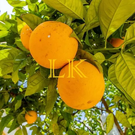 Apartment Lk Algarve Mor Portimão