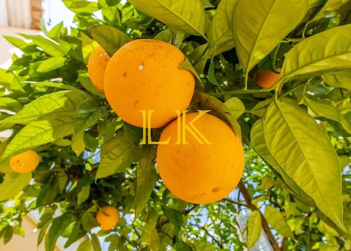 公寓 Lk Algarve Mor 波尔蒂芒